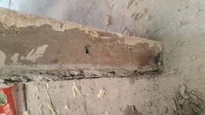 20170527_183843.jpg