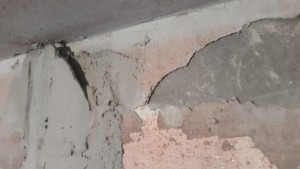 20170518_202658.jpg