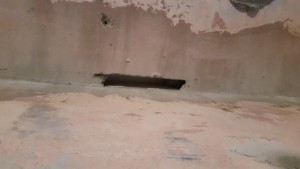 20170518_210102.jpg
