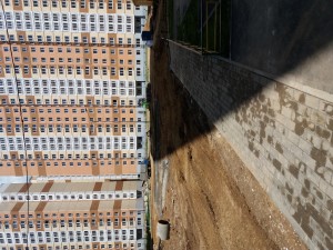 20170618_134713.jpg