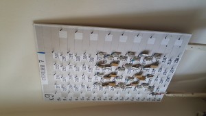 20170628_142615.jpg