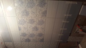 20170729_183030.jpg