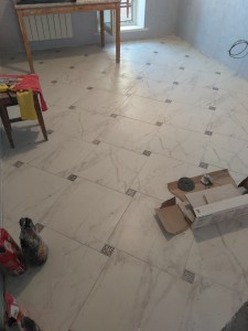 IMG_20170819_112536.jpg