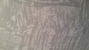 20170814_190458[1].jpg