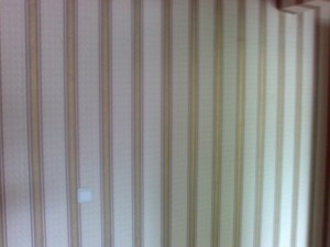 15062011254.jpg