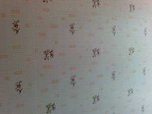 15062011257.jpg