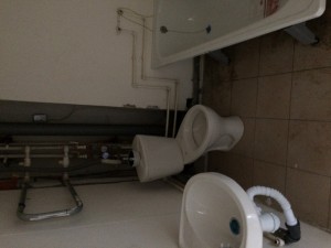 IMG_1539.JPG