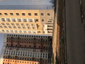 IMG_3869.JPG
