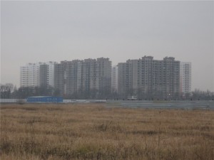 ccc47d2b5d91.jpg