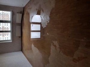 20171021_121632.jpg