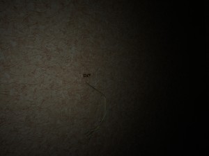 60FF2B87-F6FD-4340-89FC-93F9578420BF.jpeg