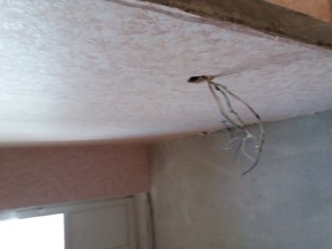20171024_103638.jpg