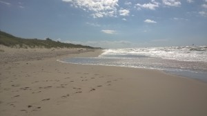 WP_20170805_045.jpg