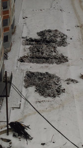 IMAG0535.jpg