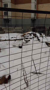 IMAG0528.jpg
