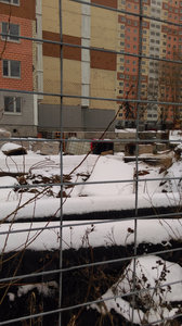 IMAG0529.jpg