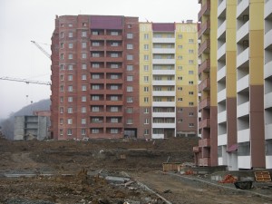 IMGP4288.JPG