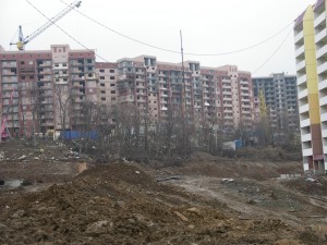 IMGP4294.JPG