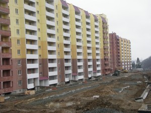 IMGP4295.JPG