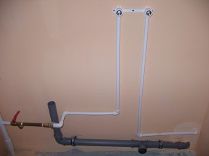 IMGP4297.JPG