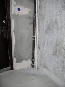 IMGP4301.JPG
