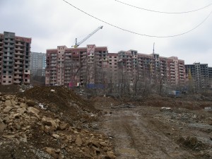 IMGP4303.JPG